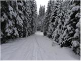 Rudno polje - Planina Zajamniki